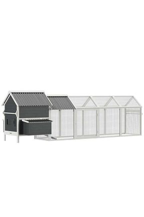  kemirgen market - کد 854834775