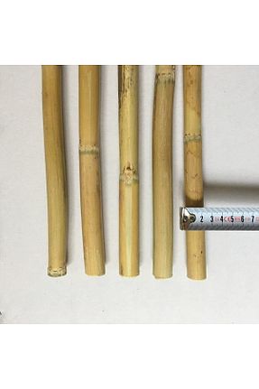 نهال میوه پیوندی Genel Markalar - کد 43499297