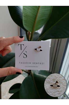 نشان Tasarım Sentezi - کد 756790968
