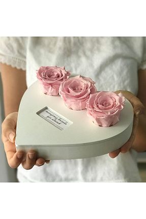 هدیه مفهومی Paspasın Bahçeleri - کد 167285767