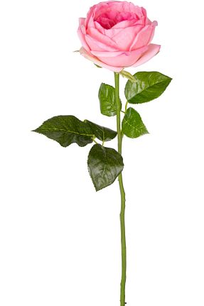 گل خشک و مصنوعی صورتی Herdekora - کد 855936241