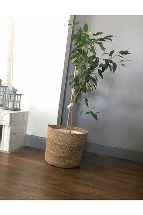گلدان قهوه ای Cherry Collection - کد 233730570