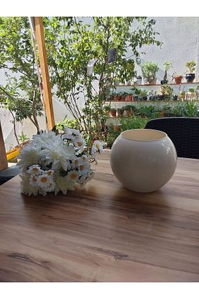گل خشک و مصنوعی بژ Lui Tasarım - کد 856079128