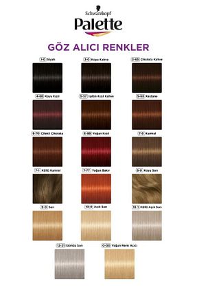 رنگ مو سفید Palette - کد 4405551
