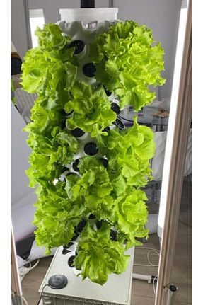 باغچه سرگرمی GüneyDoğuTopraksızTarımm - کد 773602136
