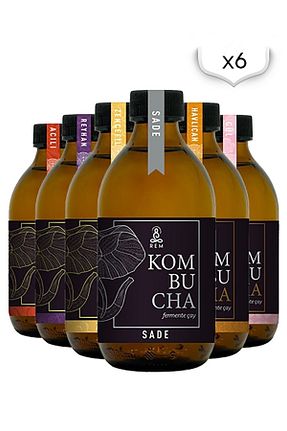 سایر چای های گیاهی REM Kombucha - کد 63089159