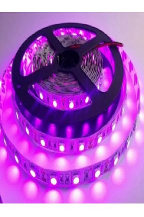 چراغ LED بنفش کد 289287263