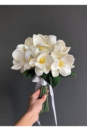 گل خشک و مصنوعی سفید Altaya - کد 336923497