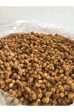  naturalköyürünleri - کد 234797948