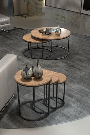 میز جلو مبلی قهوه ای Suntalam GOLDFALEZ - کد 850514771