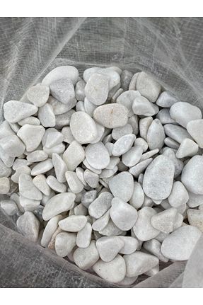 دکوراسیون و اکسسوری اکواریوم Smargat - کد 856525046