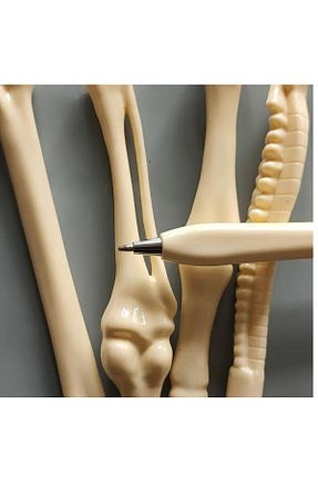 خودکار توپی سفید MİNGODAN - کد 838847522