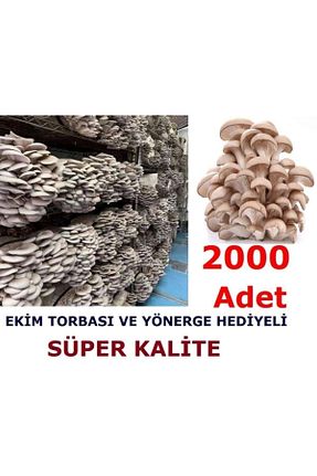 بذرها Bitki Tohumları TohumGübre - کد 76139182