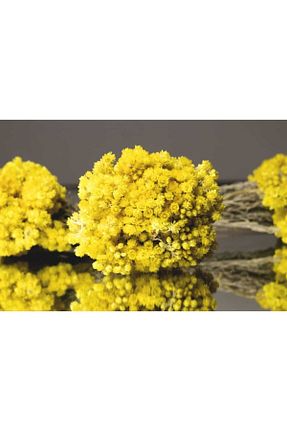 سایر ادویه جات BAHARATGİLLER - کد 76508309