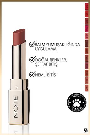 رژ لب بژ Parlak Note Cosmetics - کد 819116686