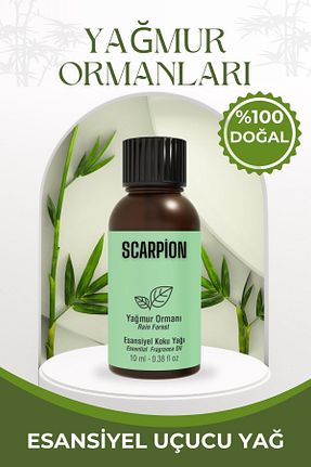 عطر خودرو SCARPİON - کد 858181727