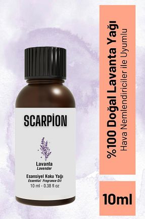 عطر خودرو SCARPİON - کد 858154592
