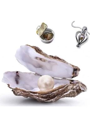 گردنبند مروارید سفید مروارید فرهنگی DG Store - کد 94586465