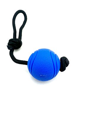 Müzik آبی Tasma Market - کد 858462643