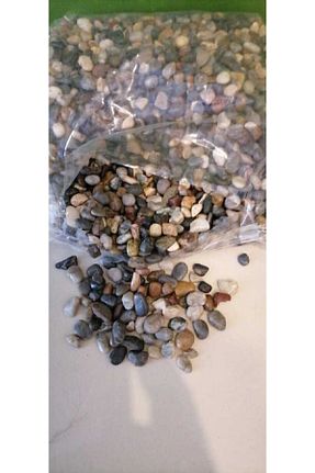 تراریوم و ساکولنت Genel Markalar - کد 51672391