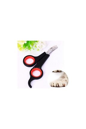 FRAME İST - کد 317543243