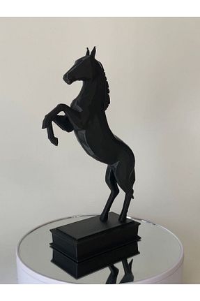 اجسام تزئینی و بیبلو مشکی پلاستیک Genel Markalar - کد 851189195