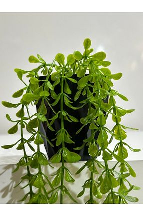 گل خشک و مصنوعی سبز Lilac Home - کد 786426949