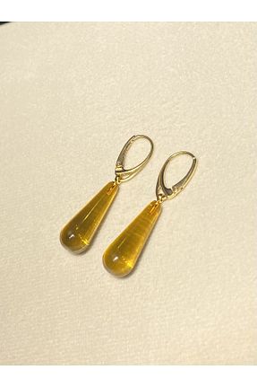 گوشواره نقره زرد زنانه 925 عیار Amber by Mazukna - کد 786588250