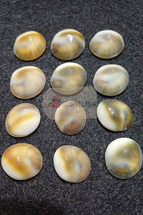 محصولات عطاری Hediyeleşin - کد 812364329