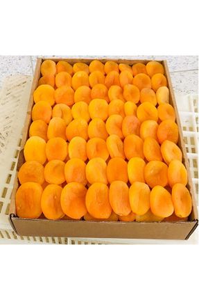  naturalköyürünleri - کد 213288030