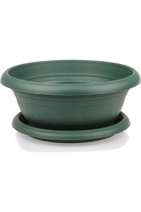 گلدان سبز Tunç Botanik - کد 51654495