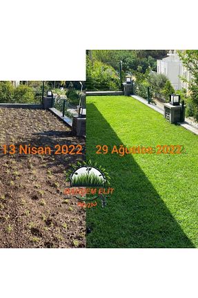 نهالها FİDE - کد 340060091