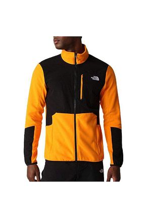 پولار رنگی مردانه رگولار The North Face - کد 758909560