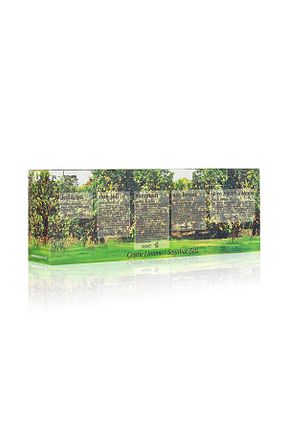 سایر اکسسوری ها فیروزه ای Eyüp Sabri Tuncer - کد 62950348