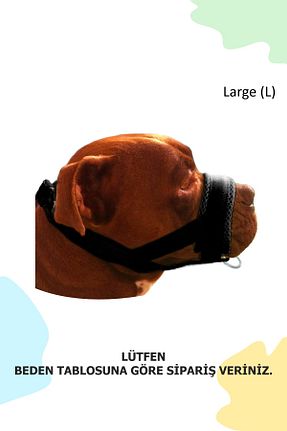 کیف پول و جاکارتی PET
