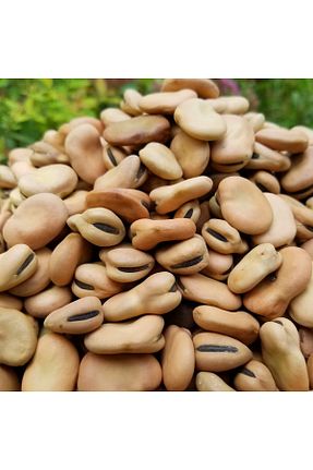 سایر حبوبات خشک naturalköyürünleri - کد 357146013