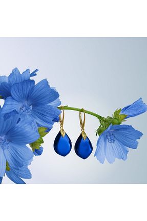 گوشواره نقره آبی زنانه 925 عیار Amber by Mazukna - کد 837299063