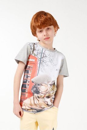 تیشرت طوسی بچه گانه Relaxed BRZ KIDS - کد 266423749