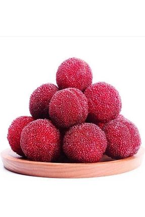 نهال میوه پیوندی bahçevilya - کد 856266655