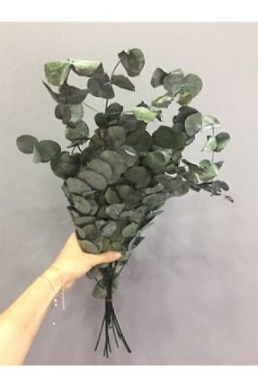 گل خشک و مصنوعی سبز Yapay Çiçeğim - کد 67985790