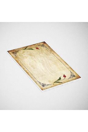 کاغذ و قلم هنری رنگی farklı bir hediye - کد 859994411