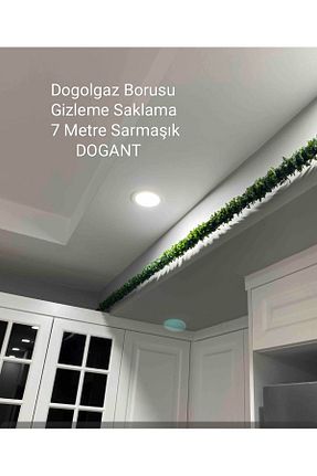گل خشک و مصنوعی سبز Genel Markalar - کد 860017434