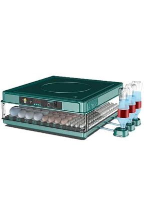  Epilons - کد 809545245