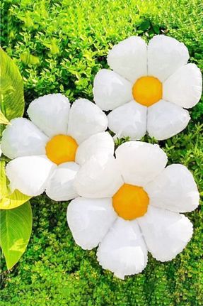 بادکنک رنگی Atölye Mi - کد 845776742