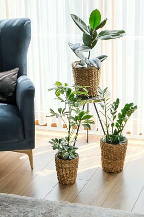 گلدان قهوه ای AVANTAGE HOME - کد 852548107