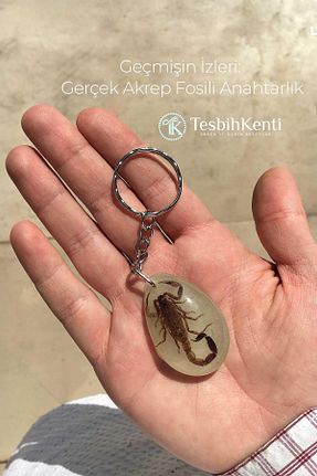 جا کلیدی TESBİHKENTİ - کد 276219900