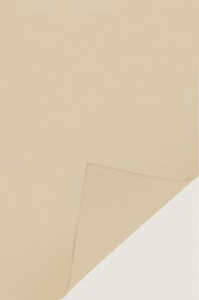 کاور داشبورد خودرو FIXALL ADHESIVE PRODUCTS - کد 42209980