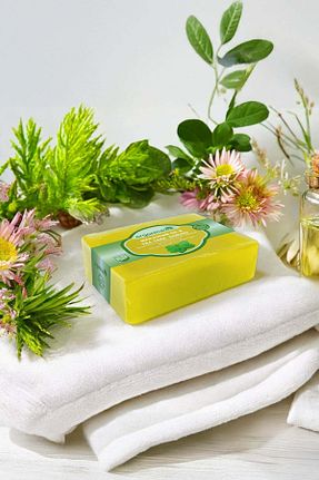 صابون جامد Organicsun - کد 861232903