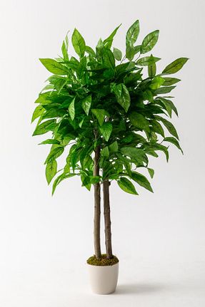 گل خشک و مصنوعی قهوه ای Güleç Yapay Çiçek - کد 471585204