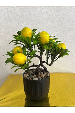 گل خشک و مصنوعی بنفش paris dünyası - کد 312644547